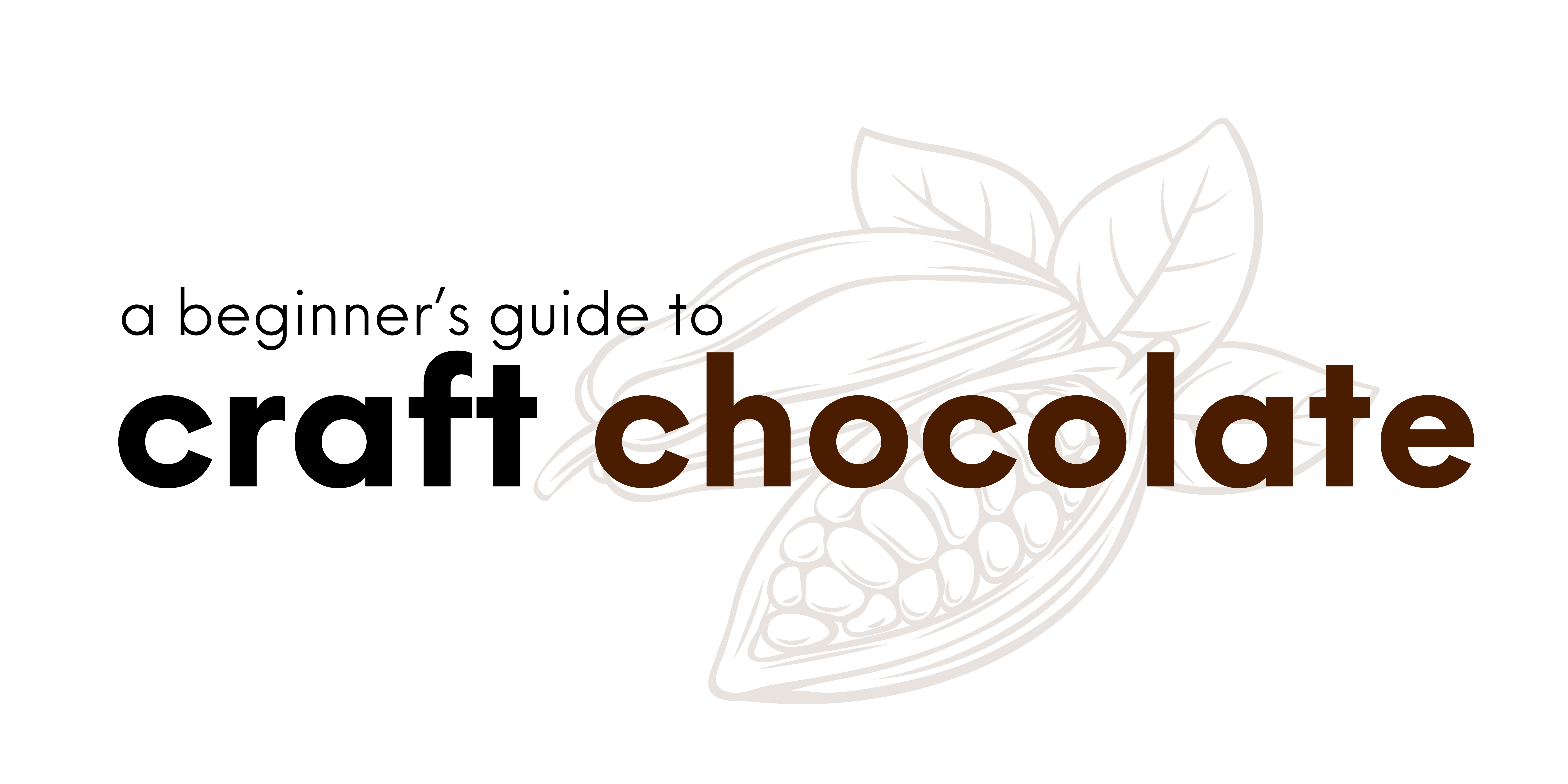 A Beginner's Guide to Craft Chocolate by Rian Green