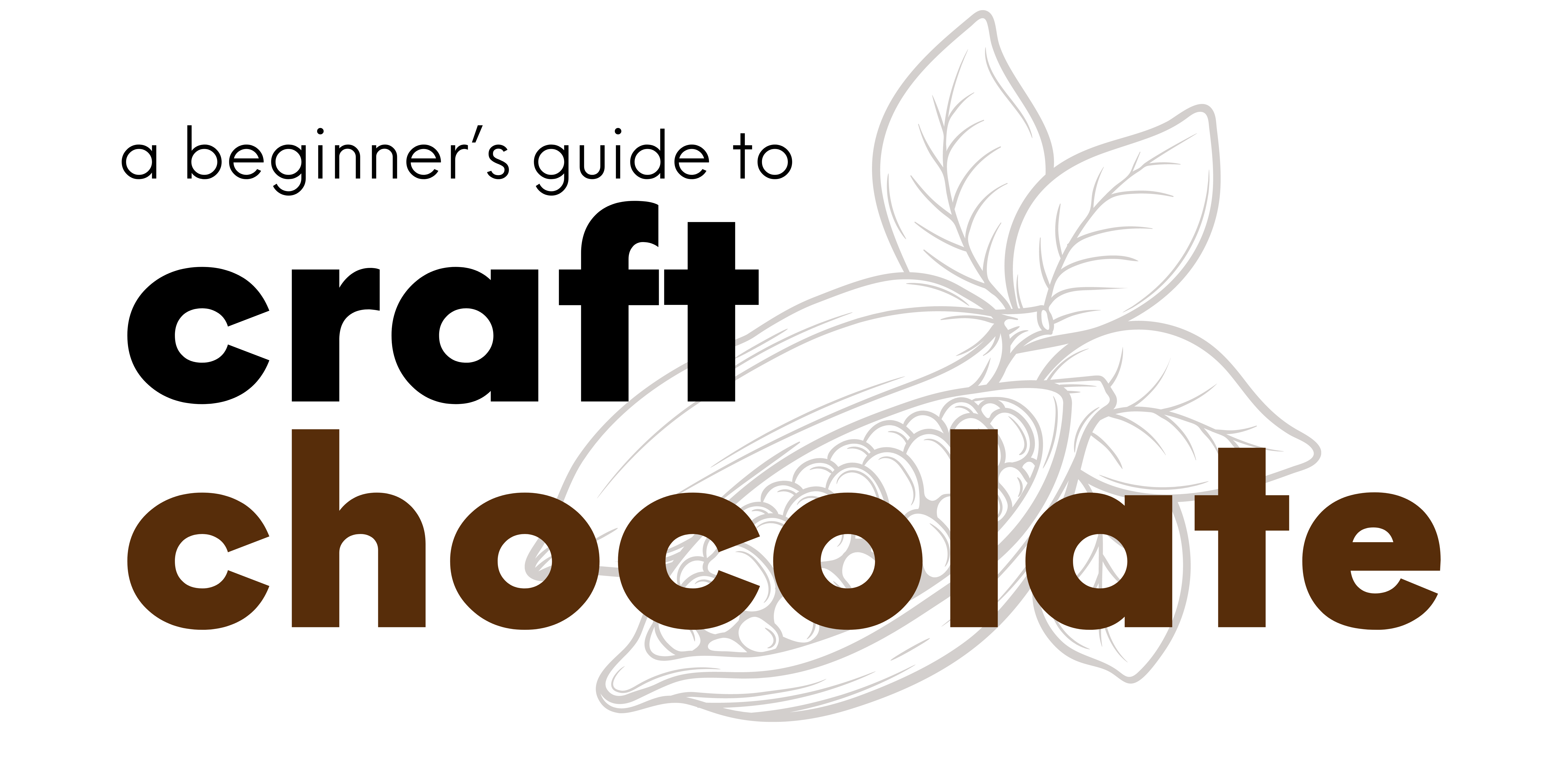 A Beginner's Guide to Craft Chocolate by Rian Green